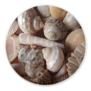 Pomo De Cerámica Seashells, conchas de berberecho, conchas de
