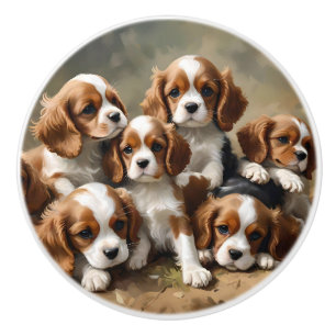 Pomo De Cerámica Seis cachorros españoles del rey Cavalier,