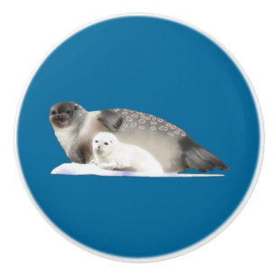 Pomo De Cerámica Sello de anillo