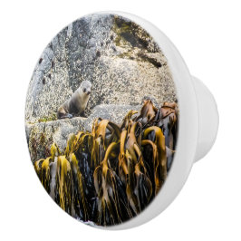 Pomo De Cerámica Sello De Piel Joven En La Roca