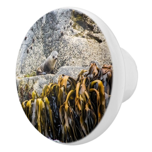 Pomo De Cerámica Sello De Piel Joven En La Roca (Derecha)