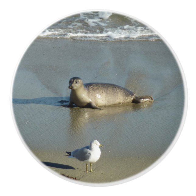 Pomo De Cerámica Sello de puerto en La Jolla California (Anverso)