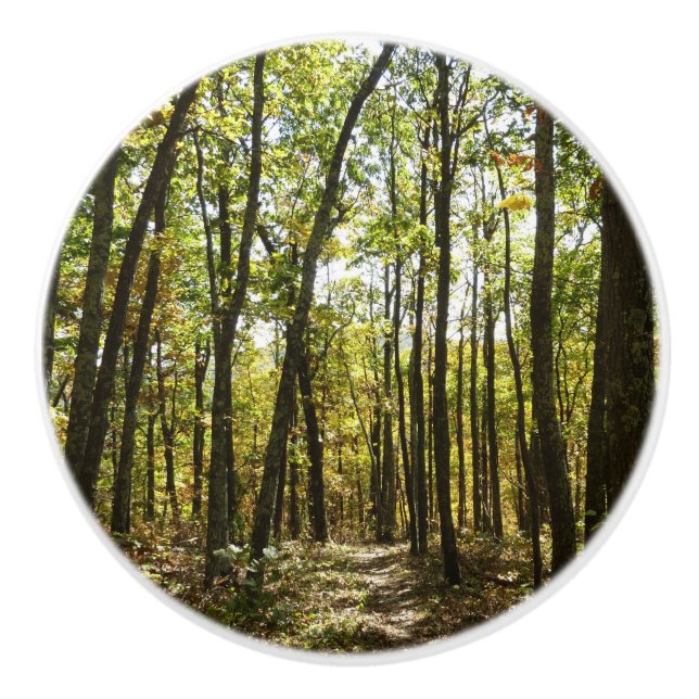 Pomo De Cerámica Sendero Apalache en octubre en Shenandoah (Anverso)