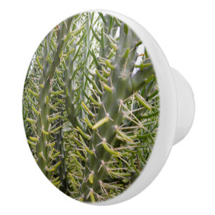 Pomo De Cerámica "Sentineles verdes: La rapaz Majestad de Cactus