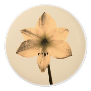 Pomo De Cerámica Sepia amaryllis
