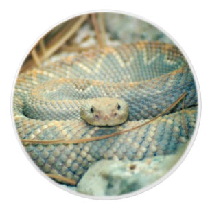 Pomo De Cerámica Serpiente de cascabel