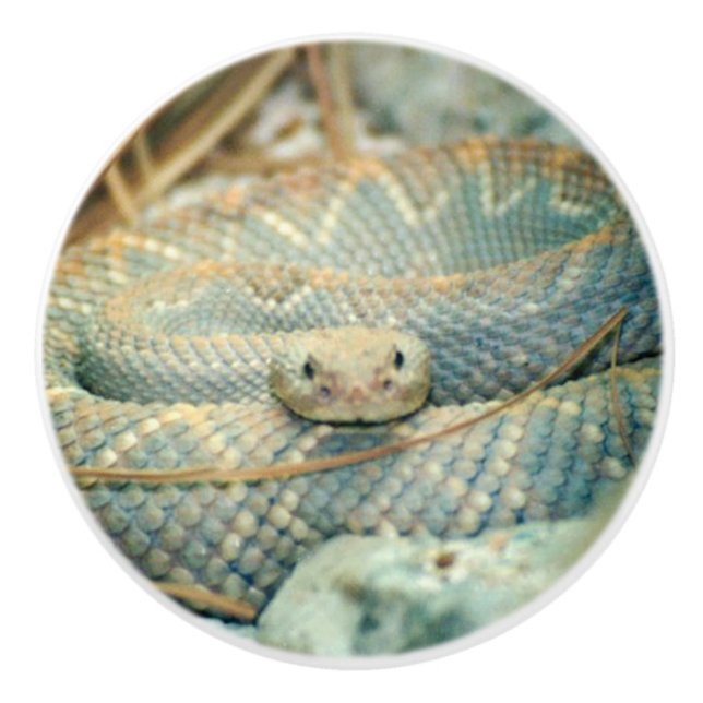 Pomo De Cerámica Serpiente de cascabel (Anverso)