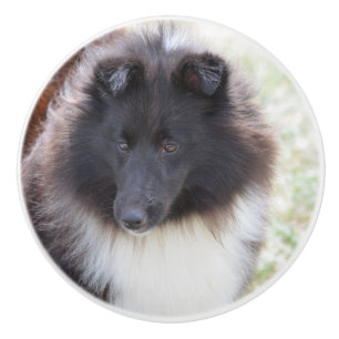 Pomo De Cerámica Sheltie blanco y negro