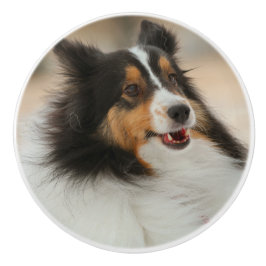 Pomo De Cerámica Shelty