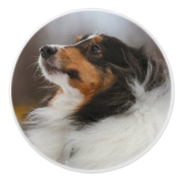 Pomo De Cerámica Shelty