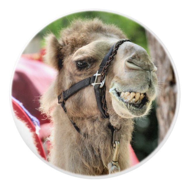 Pomo De Cerámica Smile (Anverso)