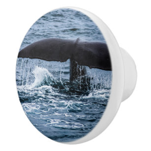 Pomo De Cerámica Sperm Whale