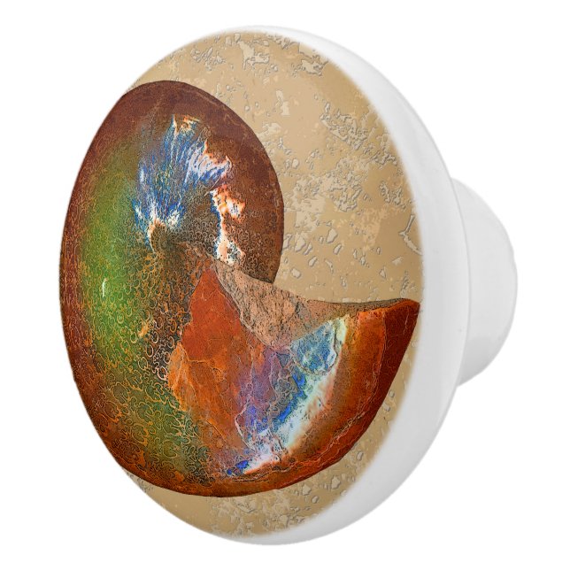 Pomo De Cerámica Sphenodiscus optimizado Lenticularis Ammonite Knob (Derecha)