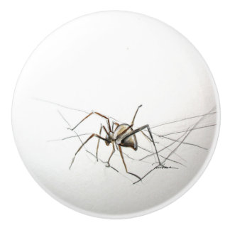 Pomo De Cerámica Spider