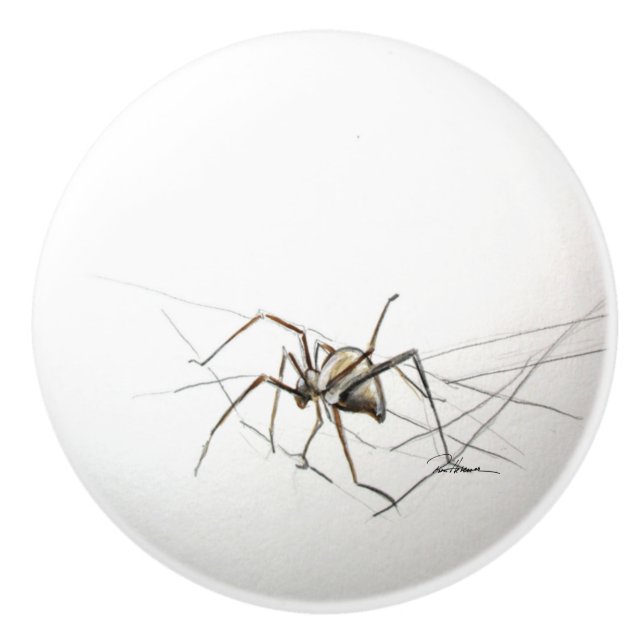 Pomo De Cerámica Spider (Anverso)