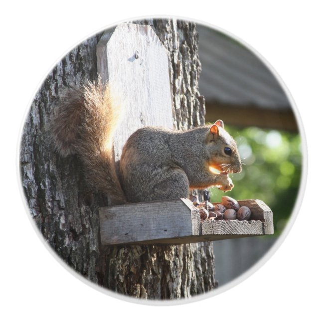 Pomo De Cerámica Squirrel Knobs (Anverso)