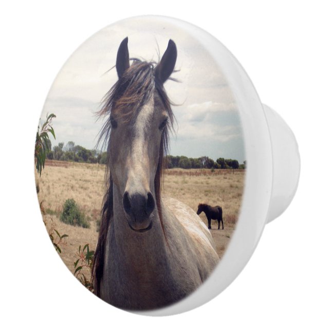 Pomo De Cerámica Star The Arab Pony, (Derecha)