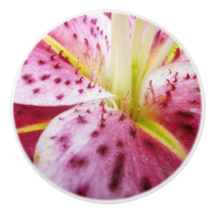 Pomo De Cerámica Stargazer Lily Bright Magenta Floral