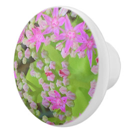 Pomo De Cerámica Suculento sedum rosa caliente con hojas verdes flo