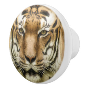 Pomo De Cerámica Tableros cerámicos de cierre del tigre