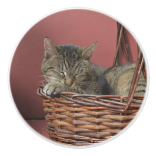 Pomo De Cerámica Tejido de cerámica para gatitos dormidos