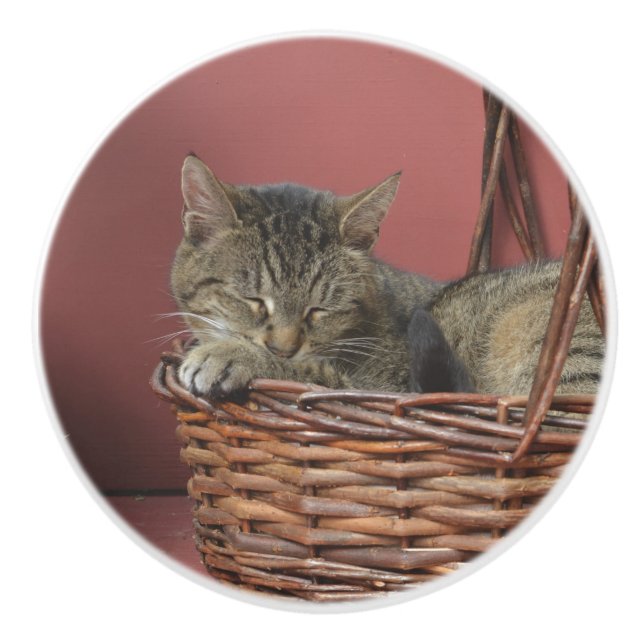 Pomo De Cerámica Tejido de cerámica para gatitos dormidos (Anverso)