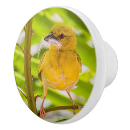 Pomo De Cerámica Tiempo de construir el nido