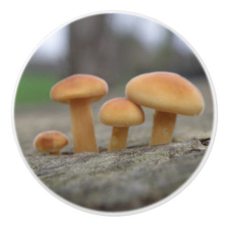 Pomo De Cerámica Timy Toadstools Macro Ceramic Knob