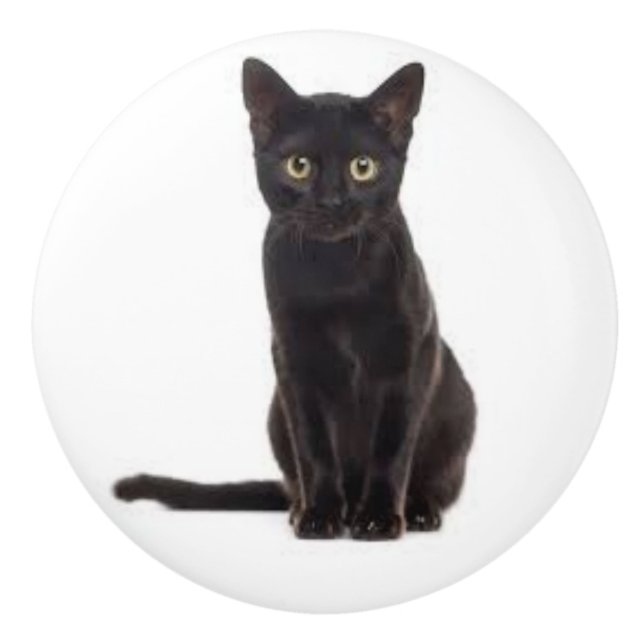 Pomo De Cerámica Tira cerámica con gato negro (Anverso)