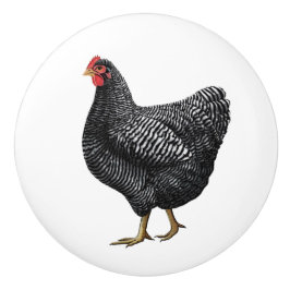 Pomo De Cerámica Tira de cajones de gallinas para granjas