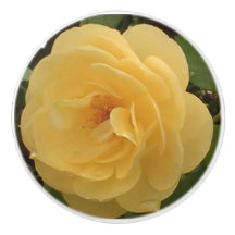 Tira de cerámica de Camellia amarilla