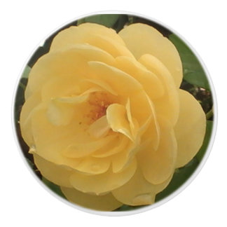 Pomo De Cerámica Tira de cerámica de Camellia amarilla