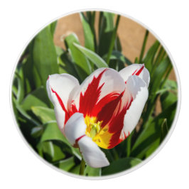 Pomo De Cerámica Tira de cerámica de tulipano de primavera