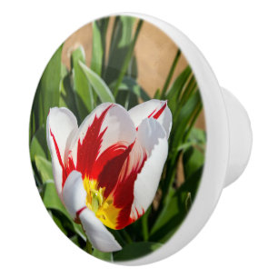 Pomo De Cerámica Tira de cerámica de tulipano de primavera