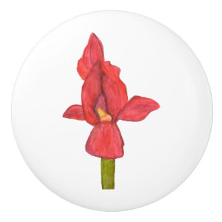 Pomo De Cerámica Tira del Cajón de Iris Rojo