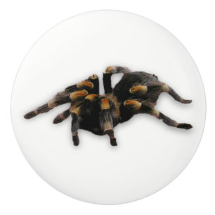 Pomo De Cerámica tirón de la araña