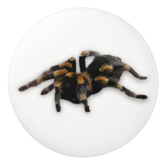 Pomo De Cerámica tirón de la araña