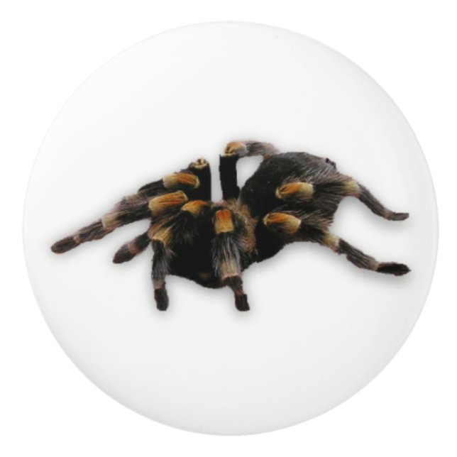 Pomo De Cerámica tirón de la araña (Anverso)