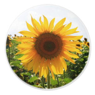 Pomo De Cerámica Tirón del cajón del girasol
