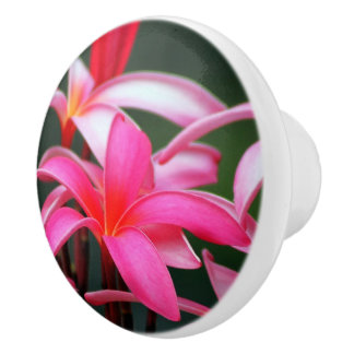 Pomo De Cerámica Tirón del cajón del Plumeria