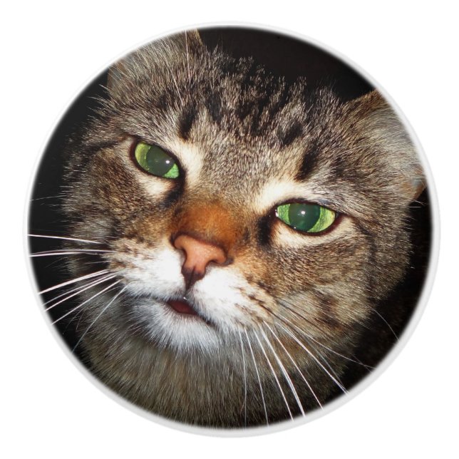 Pomo De Cerámica Tirón del gato de Tabby (Anverso)