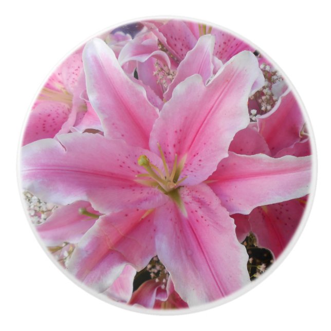 Pomo De Cerámica Tommasina (Anverso)