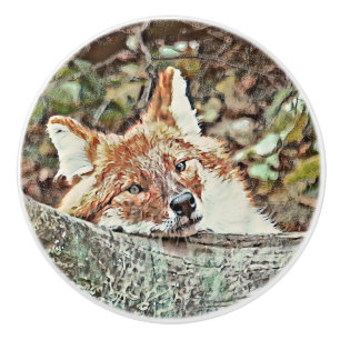 Pomo De Cerámica Toony Fox