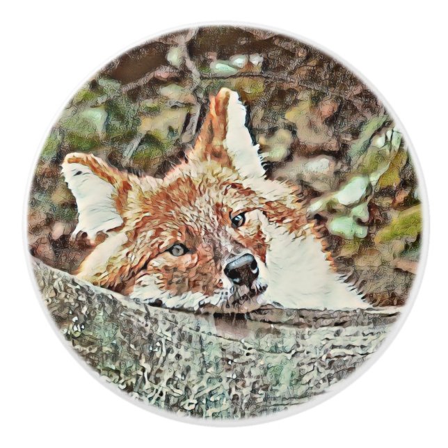 Pomo De Cerámica Toony Fox (Anverso)