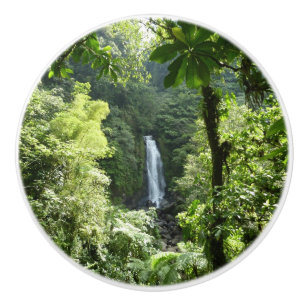 Pomo De Cerámica Trafalgar cae fotografía tropical de selva tropica