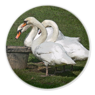 POMO DE CERÁMICA TRES EFECTOS DIGITALES SWANS/PHOTOG.WITH