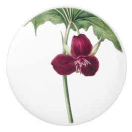 Pomo De Cerámica Trillium Botánico 