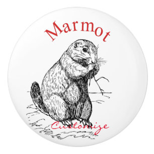 Pomo De Cerámica Trineo de animales de la marmota