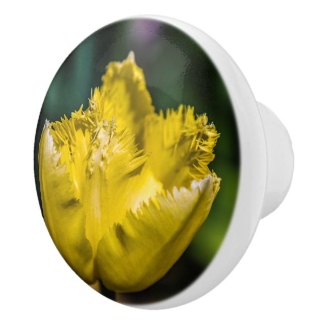 Pomo De Cerámica Tulip amarillo (Derecha)