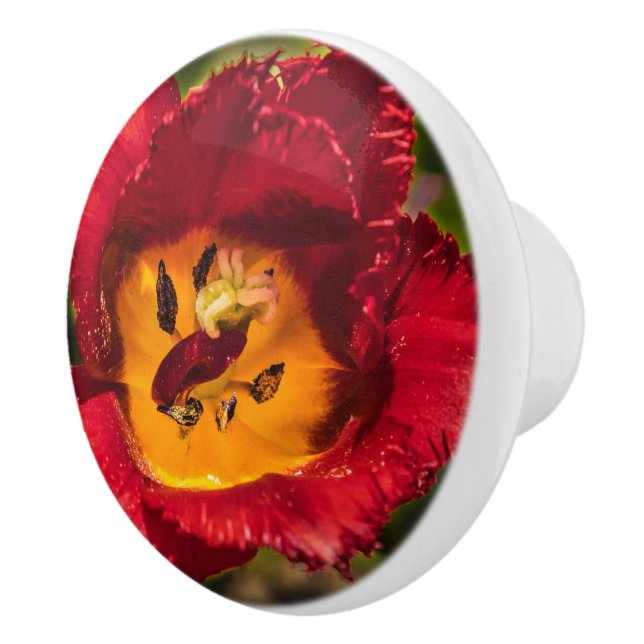 Pomo De Cerámica Tulip rojo (Derecha)
